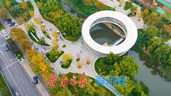 秋风执笔，银杏鎏金：济南腊山河公园秋日氛围感拉满