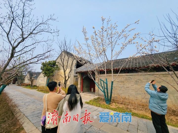 春花烂漫景色美 市民踏青享春光