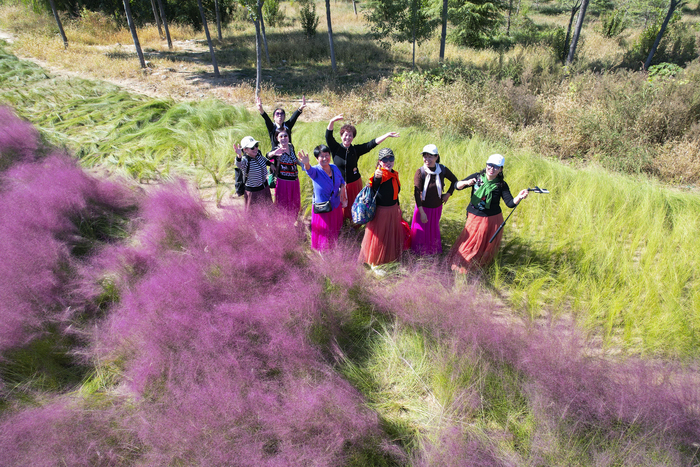 济南这条河，火了！