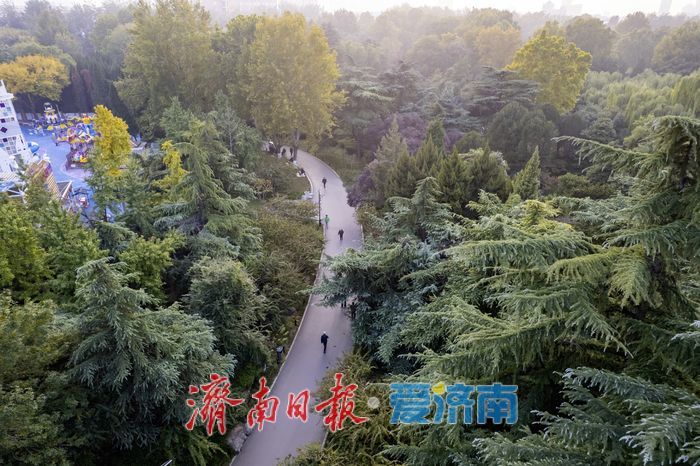 秋意正浓！百花公园披上“五彩霓裳”