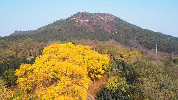 初冬的佛慧山层林尽染美不胜收