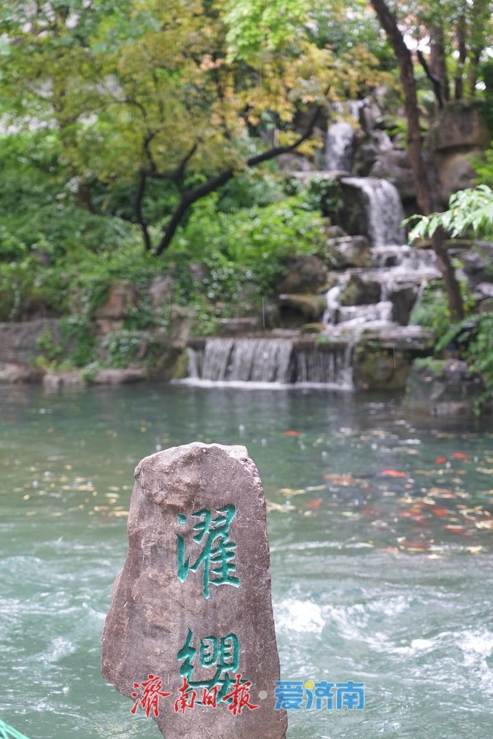 一年四季 泉在济南｜烟雨“济南府”赛江南 雨中泉水游别样体验