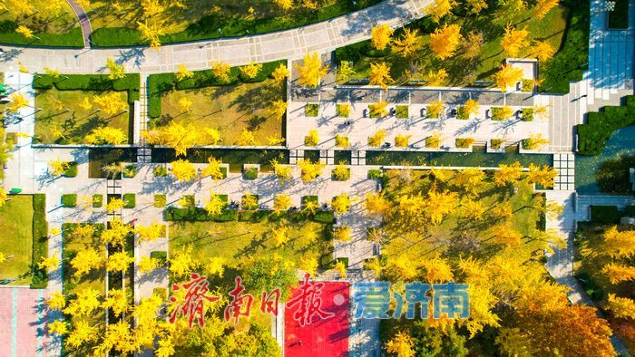 莱芜红石公园秋意浓 红石秋叶绘就多彩画卷