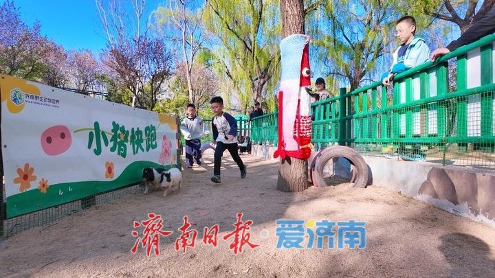 提前剧透｜济南野生动物世界马戏嘉年华重磅升级，承包你五一假期的欢乐！