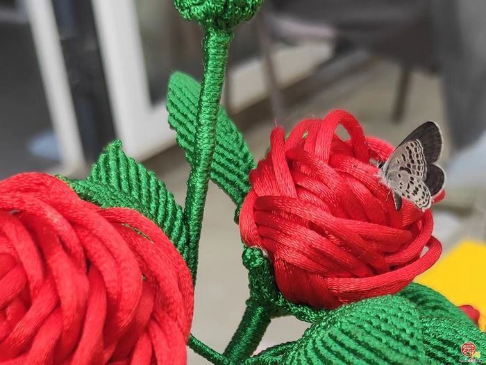 槐荫：大龄玩家的快乐你不懂