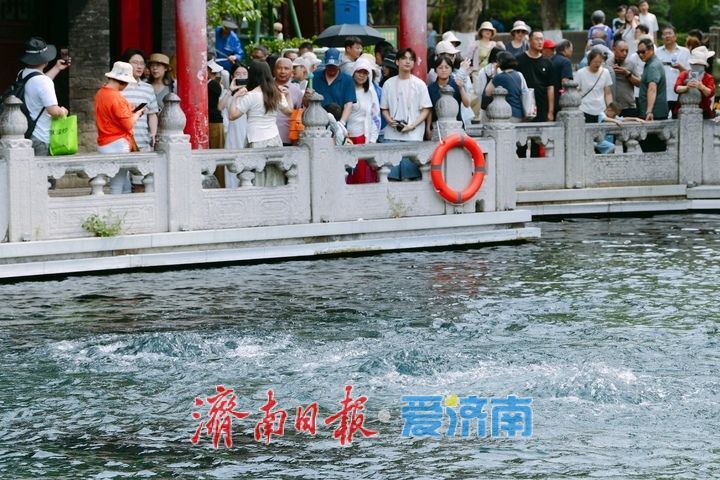 “毕业季”牵手端午假期，济南暑期“泉水游”提前迎来高峰期