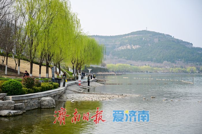 一年四季 泉在济南丨春日孟家庄水库：市民游客共享自然惬意时光