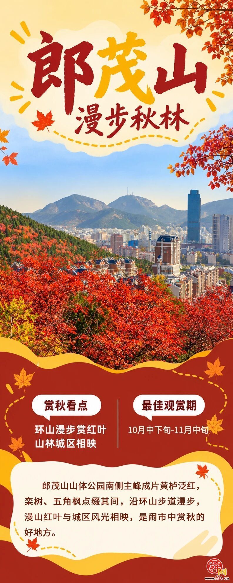 现在出发正当时！泉城红叶迎来最佳观赏期