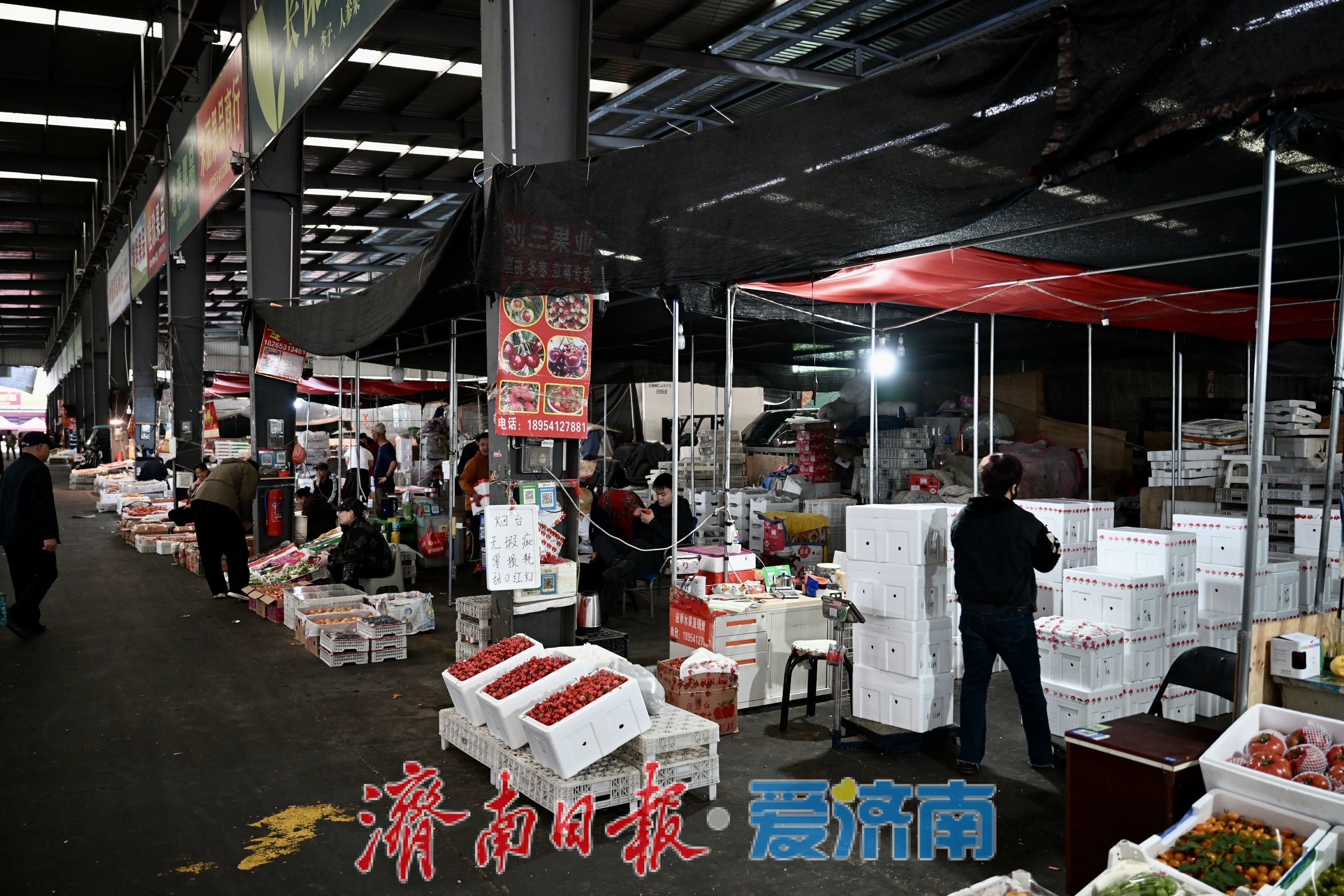 堤口果品批发市场迎樱桃购销热潮 南山樱桃成焦点