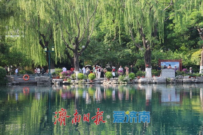 气温攀升迎初夏 五龙潭成泉城避暑纳凉好去处
