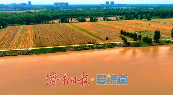 向土地“要效益” 为发展“守根基”——济南市自然资源和规划局奏响高质量发展强音