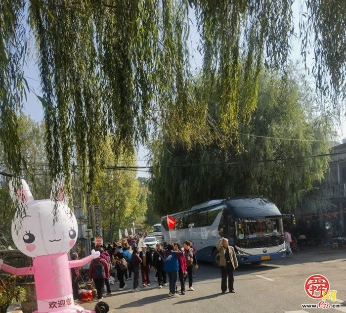 垛庄镇：秋意浓文旅热，“漫山红叶”引领赏秋新风尚
