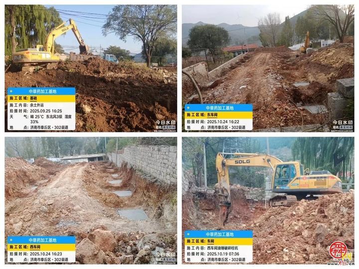 从“采菊东篱”的诗意到“乡村振兴”的盛景——官庄街道连绵青山绽放“幸福花海”