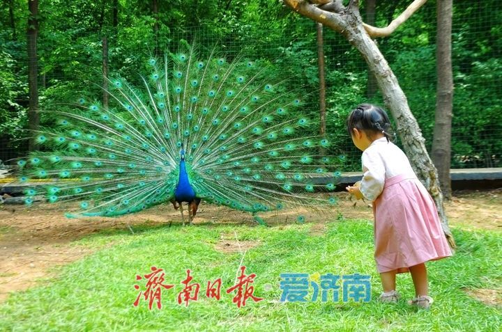 济南野生动物世界“五月遛娃节”启幕 超值优惠解锁初夏亲子新体验