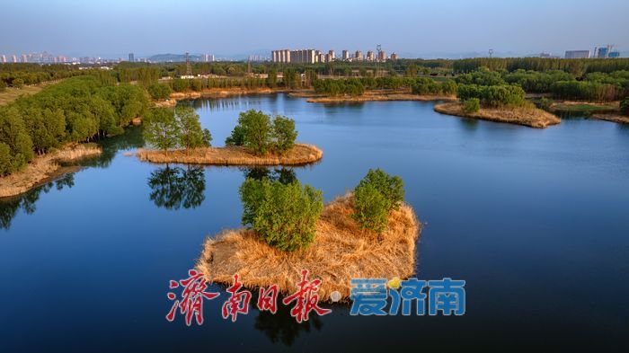 水天一色！济南小清河源头湿地公园邂逅绝美落日