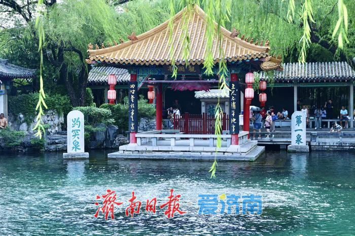 一年四季 泉在济南丨雨后趵突泉水位显著回升 高温天游客赏泉热情不减