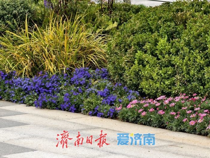 一年四季 泉在济南丨全福河滨水景观带静待开放，济南春日踏青再添新景