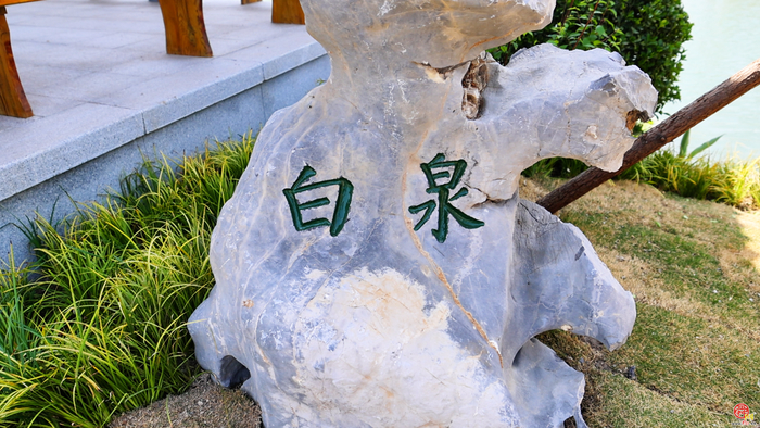 白泉涌沙 韵藏济南