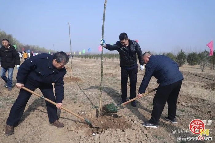植绿护绿·共筑美好家园  济南市机械化清扫大队组织开展义务植树活动