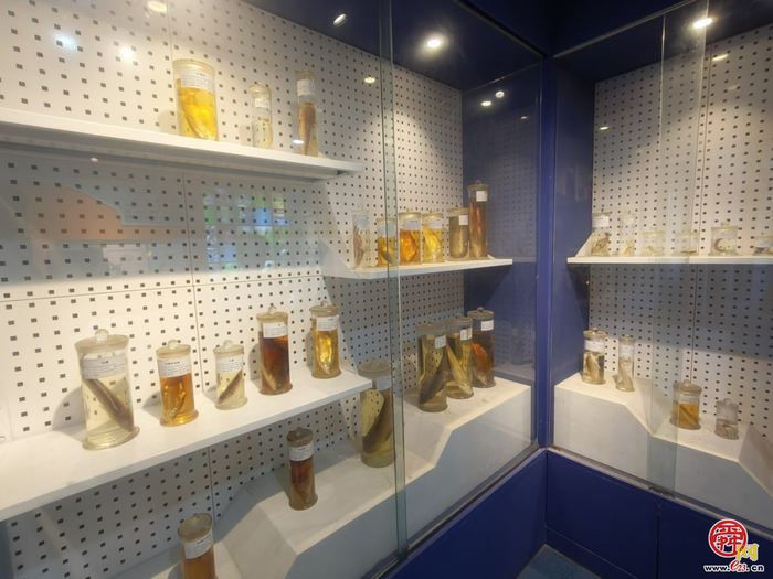 【党建融?学生成长共同体】荷风送香寻访路 章丘白云湖湿地里的“自然课堂”活力绽放?