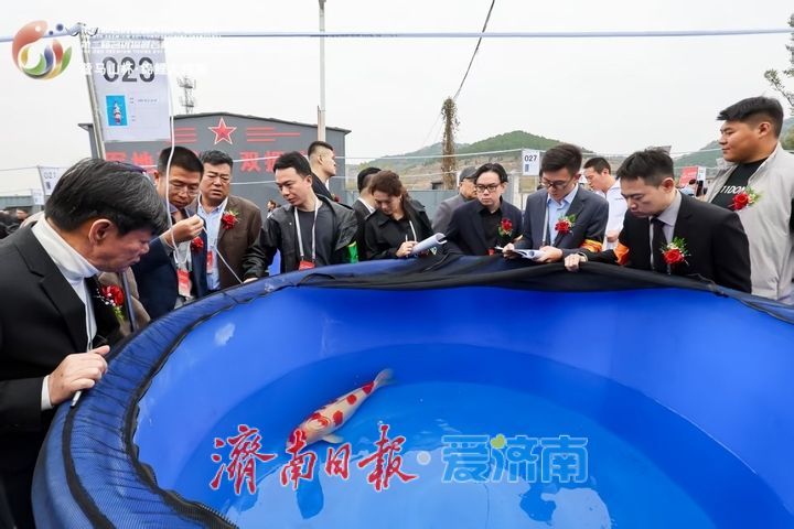 第六届名优锦鲤大赛在济启幕