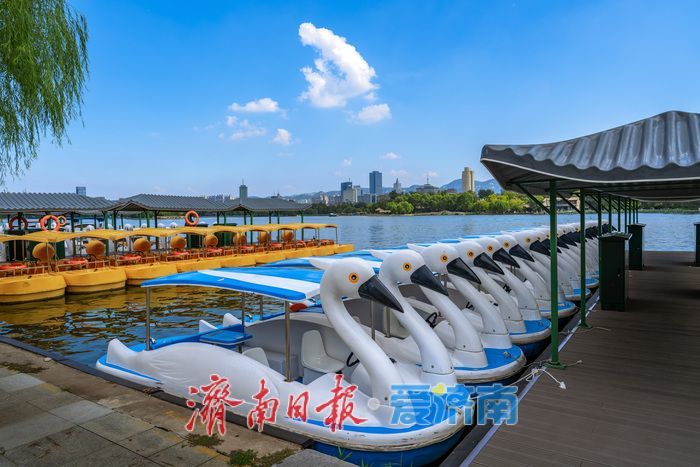 一年四季 泉在济南丨泉城消夏图鉴：大明湖成市民游客纳凉赏景“心头好”