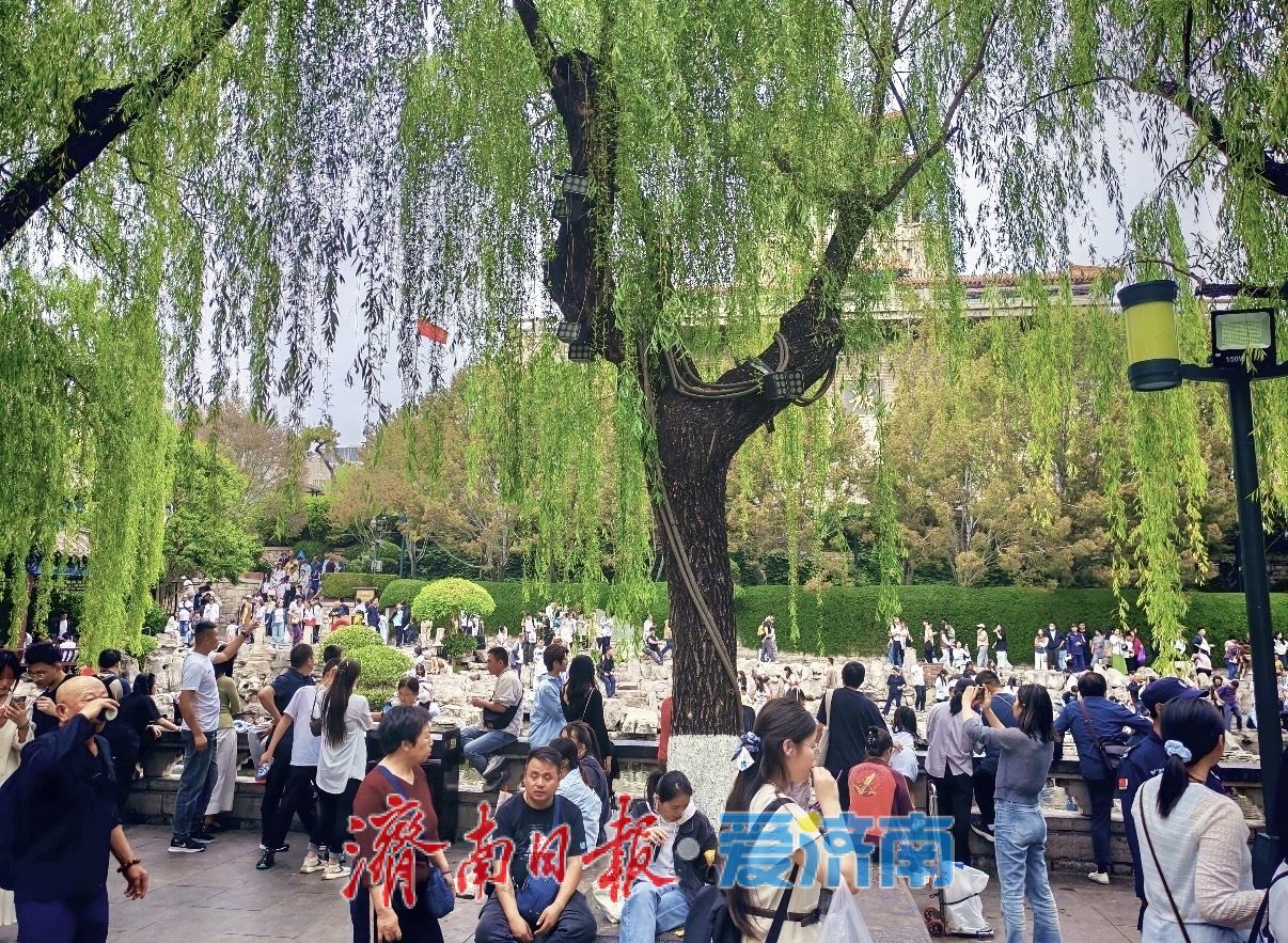 逢节必“爆棚”，济南又登全国热榜！