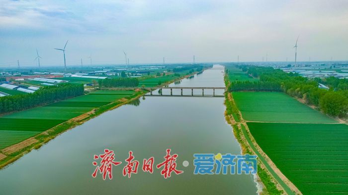 一年四季 泉在济南丨一河碧水绕良田 徒骇河畔田园美