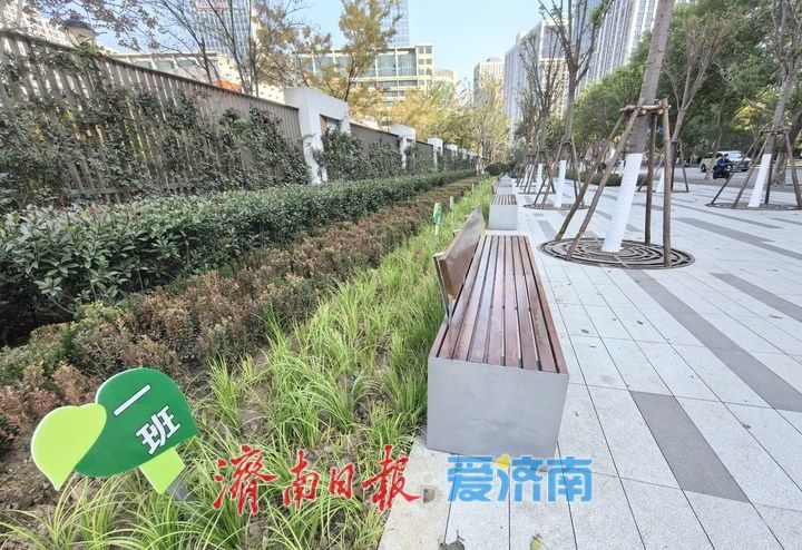 项目强省会｜学校门口打造“三件套” ，城市慢行交通“倍暖心”