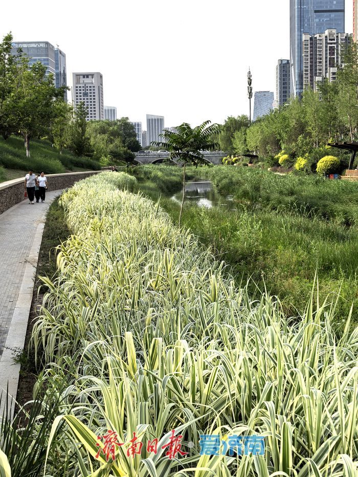 一年四季 泉在济南丨漫步、垂钓、赏景！腊山河畔邂逅初夏美好时光