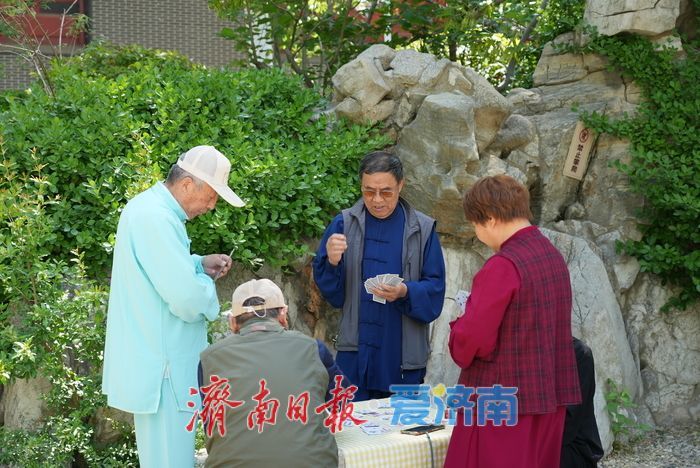 一年四季 泉在济南丨绿荫泉水伴笑语，初夏休闲好时光