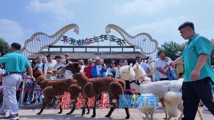 端午萌兽伴游、民俗趣味升级 济南野生动物世界假期活动精彩纷呈