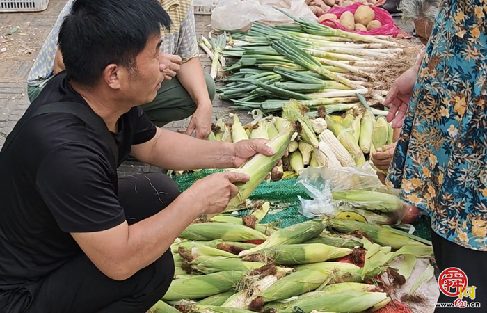 “烟火气”更规范！济南“西瓜地图”上线  399个销售点满城飘瓜香