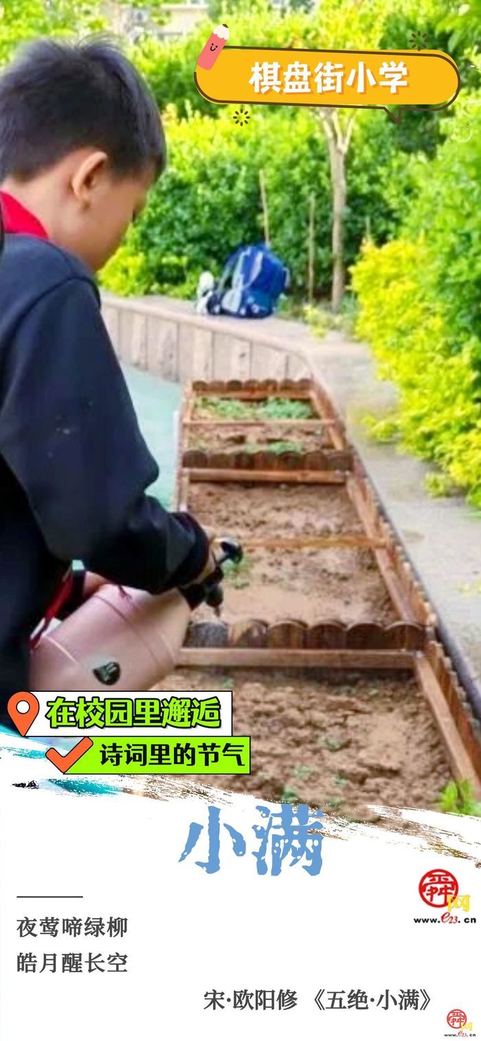 在校园里邂逅诗词里的节气｜小满
