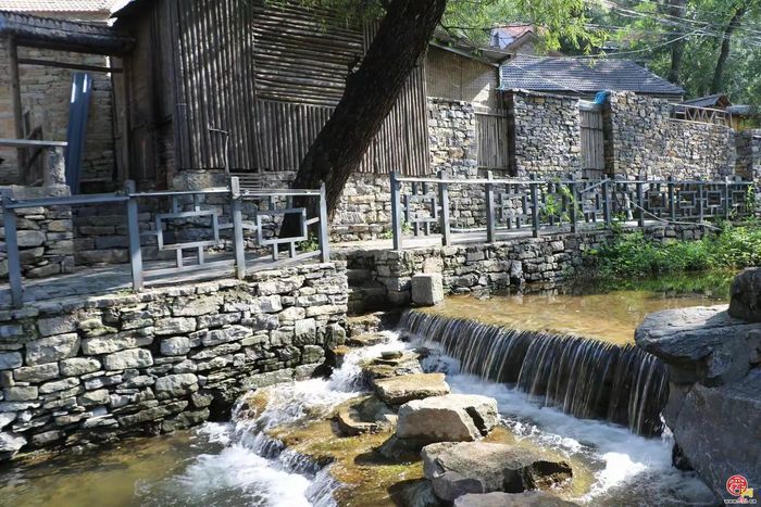 官庄街道：挥产业“妙笔” 擘共富“画卷”，激活高质量发展“一池春水”