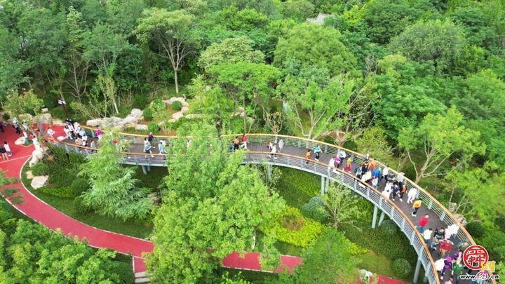 城市因园林更美好 生活因园林更幸福——2025年济南市园林和林业绿化局高质量成果展（生态建设篇）