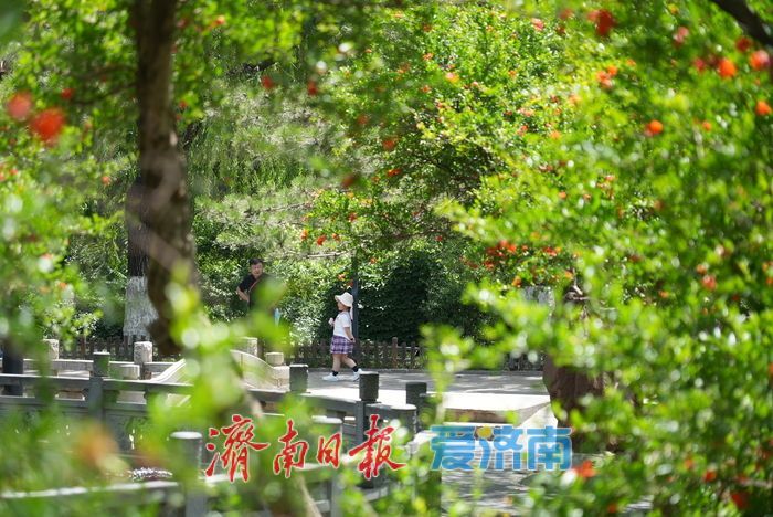 一年四季 泉在济南 