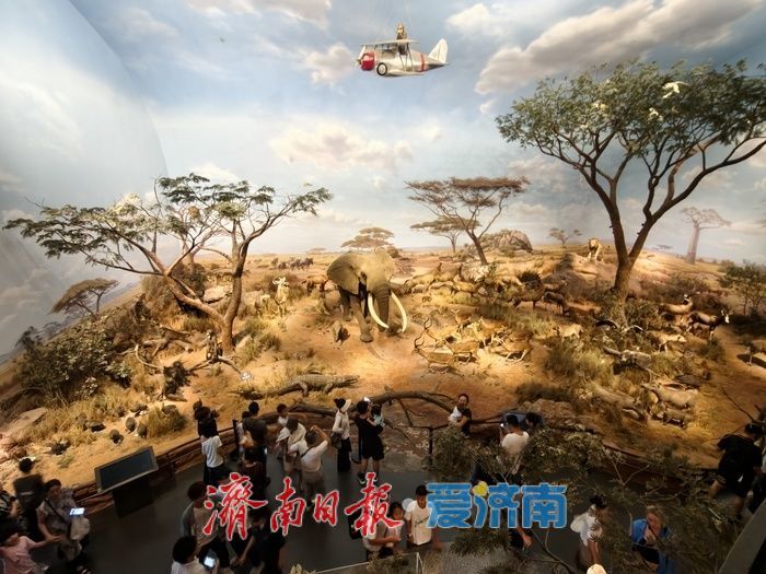 以文化清风驱散盛夏热浪