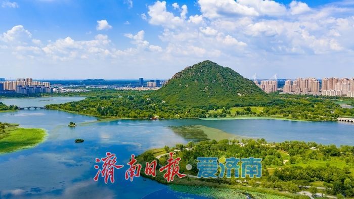 藕花年年盛 同作济南人——跟着元好问遍览泉城秋光