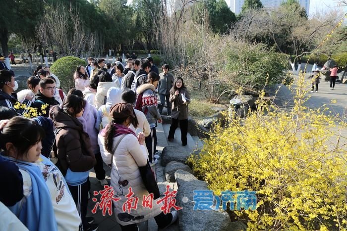 济南一城山色的“长效密码”