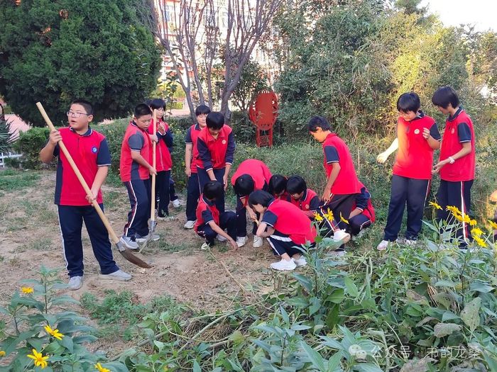 商河县龙桑寺镇中心小学开展劳动实践活动