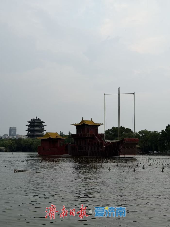 一年四季 泉在济南丨市民争相到大明湖畔享清凉
