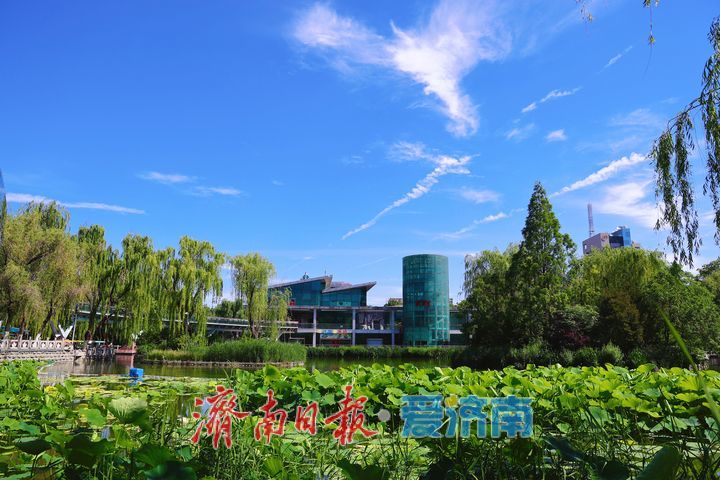 夏日游园正当时 满园清风入画来