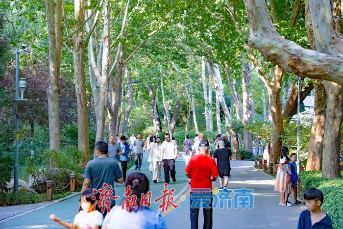 初秋午后氛围感拉满 济南森林公园藏一城温柔秋韵