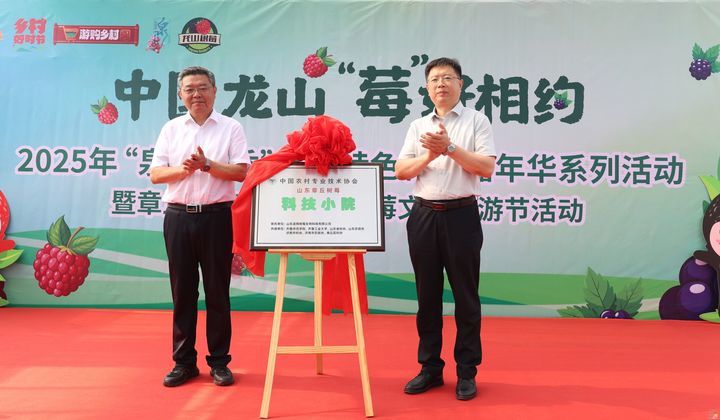 龙山小树莓  全国大市场