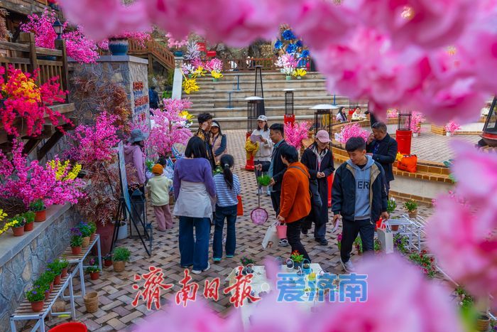 春游九如山，把鲜花和春天一起“抱”回家