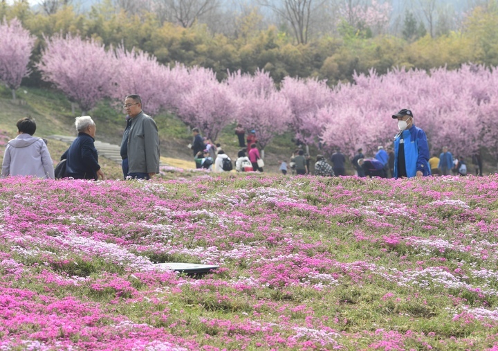 “泉”在济南过五一 