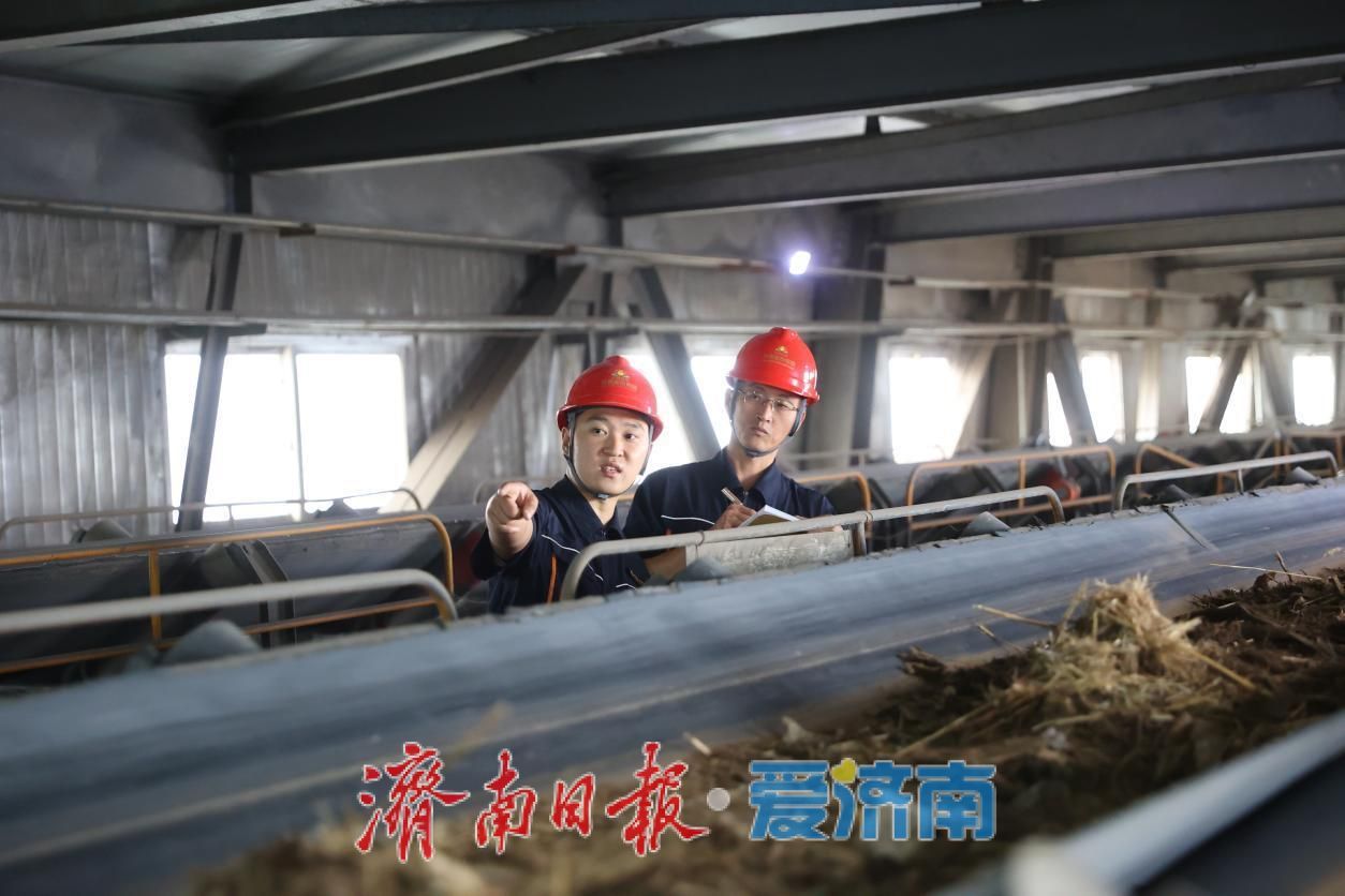国庆我在岗丨秸秆焕新！坚守护绿电，孕育生态新动能