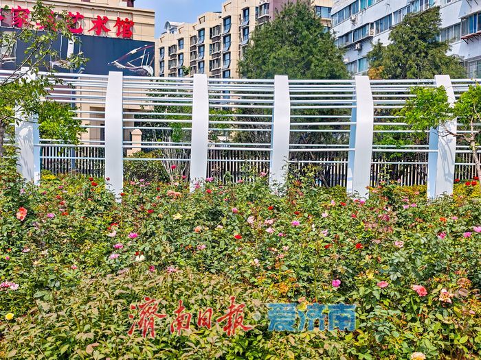 闲置旧址变身口袋公园 济南北坦市民公园点亮老城宜居生活