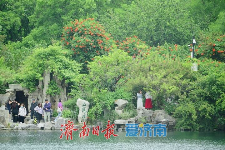 一年四季 泉在济南丨初夏凉爽天，寻幽龙潭畔